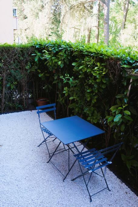 Studio Climatise Et Spacieux Situe Pres Des Parcs Vichy Extérieur photo